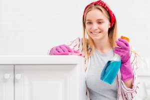 The Art of Deep Cleaning The Art of Deep Cleaning